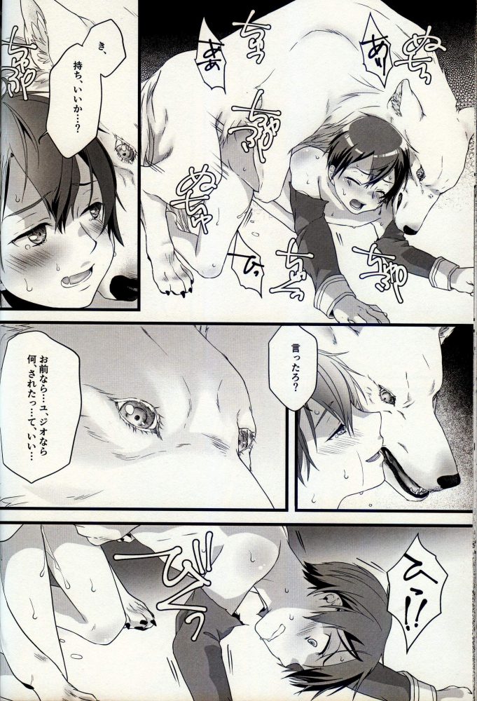 【エロ同人 SAO】キリトの姿は狼になっており襲い掛かって獣姦セックスするユージオ！！【無料 エロ漫画】 (17)