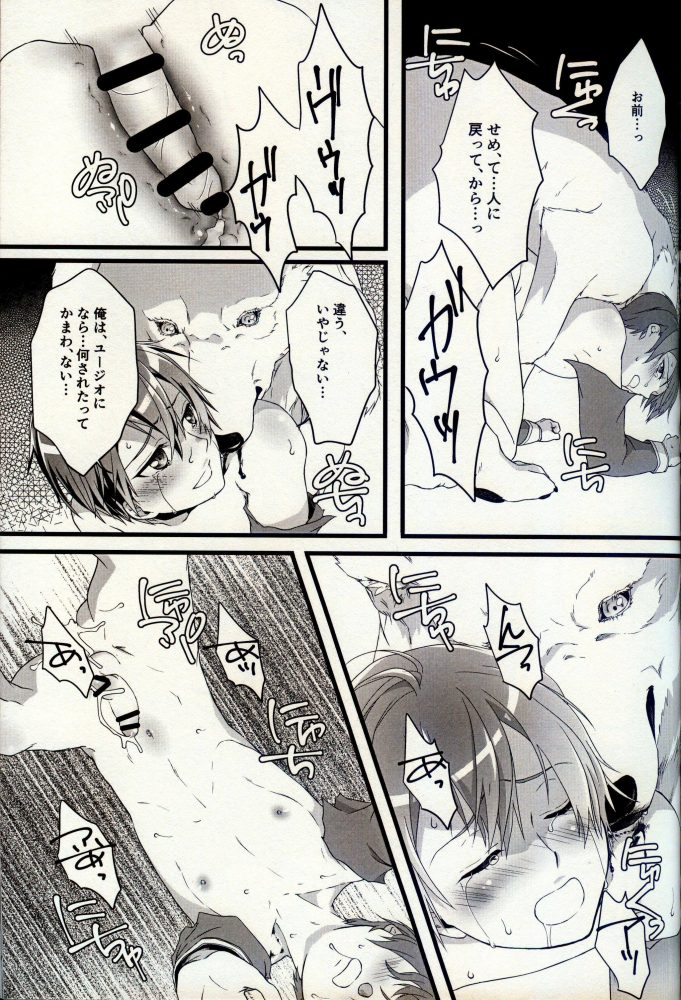【エロ同人 SAO】キリトの姿は狼になっており襲い掛かって獣姦セックスするユージオ！！【無料 エロ漫画】 (16)