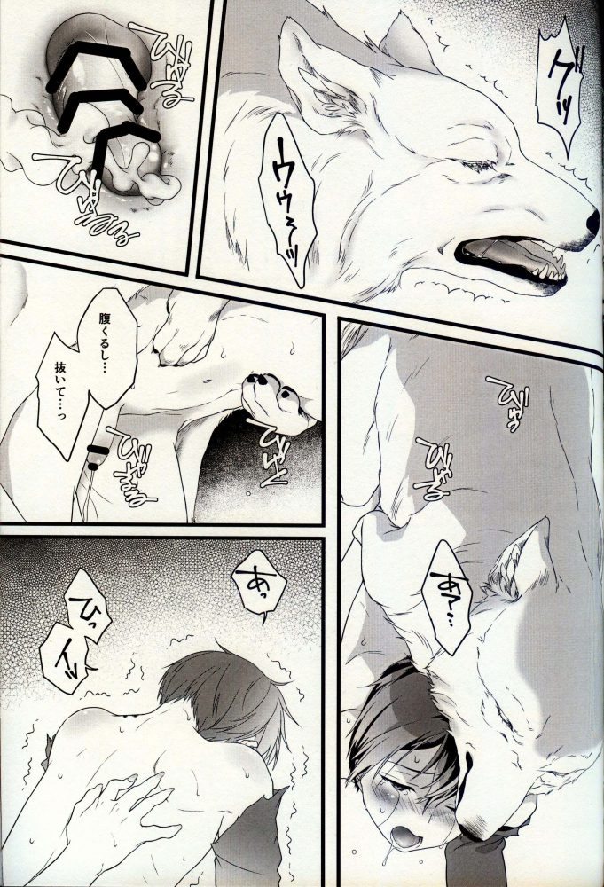 【エロ同人 SAO】キリトの姿は狼になっており襲い掛かって獣姦セックスするユージオ！！【無料 エロ漫画】 (20)